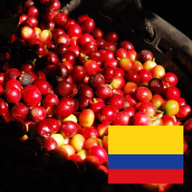 없음 콜롬비아 수프리모 일루션 생두 20kg 메델린 생두도매, 1개