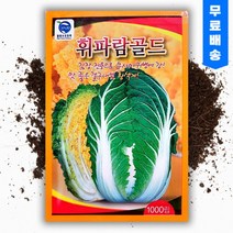 씨앗팜 휘파람 골드 배추 씨앗 종자 1000립 김장배추 씨, 1개