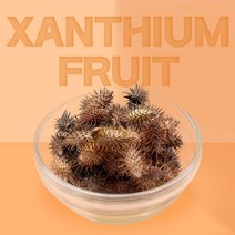 열린약초 국내산 창이자 도꼬마리, 1팩, 600g