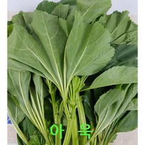 아욱 4kg내외 박스 발품장터