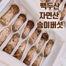 [산지출고] 2023 신상품 최고급 특등급 자연산 송이버섯 추석 명절 고급 효도 선물세트, 1박스, 1품 1kg