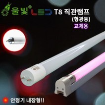 울빛 LED형광등 AC직관 주차장 사무실 공장등, 1200mm, 6500K주광색