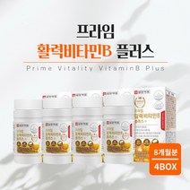 힘 기운 없을때 지칠때 육체 피로 체력 저하 조혈 에너지 필요할때 에 좋은 먹는 프리미엄 비타민 비 복합체 영양제 남성 여성 중년 장년, 4BOX(8개월분)