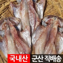 장스토어 반건조 우럭 1~3미 250g~350g 국산 군산직송, 1세트, 02_우럭 중 2미 700g 내외