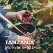 [커피생두] 탄자니아 부코바 하이랜드 로부스타 5kg