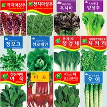 상추/쌈/채소 씨앗 모음, 21_비타민쌈배추 1000립, 1개