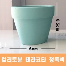 컬러 토분(청록색) 화분 미니토분 다육이 테라코타[지름6cmX높이6.5cm] 수입도매