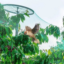 농사용그물망 2x10m 새 참새 과수원 텃밭 보호망