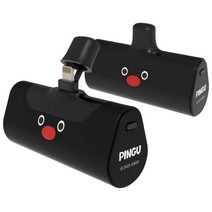 아트박스/데이니즈 데이니즈 핑구 일체형 도킹형 미니 보조배터리, C타입