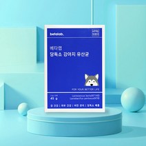 강아지유산균 당독소 (30포/1팩*60포2팩)입냄새 맛있는 kf140 고양이 베타랩, 1개