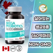 네츄라 메가 프로바이오틱스 16000 생균8종 식물성 90캡슐 약3개월분 캐나다 직구, 1. 1통 (90캡슐) 3개월분