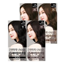 (무료배송)꽃을든남자 간편하게 나눠쓰는 CS 헤어 칼라 염색약, N6 자연갈색, 4개