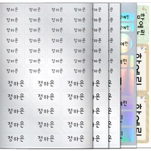 에이엠종합인쇄 혼합형에 종합형 하나더 네임스티커, (혼합형/종합형), 07번)실버-이름1줄인쇄/총5장
