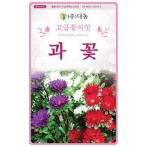 다농 과꽃 씨앗 1g 야생화 씨앗