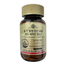솔가 활성 엽산 680