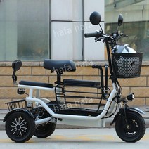 3륜 전기 자전거 성인용 어르신 출퇴근 배달, H. 10Ah약30km