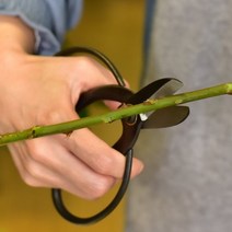 분재가위 전정가위 조경가위 원예 전지 꽃가위 꽃꽃이가위