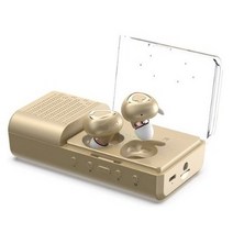 엠지텍 블루투스 방수 이어폰 스피커 MB-W2000, 골드