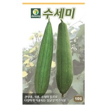 [다농] 수세미씨앗 200립[SF], 상세 설명 참조