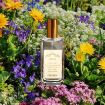 구x 만다린 TYPE EDT 50mL 구X 향수 여성향수 지속력이좋은