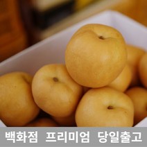 [특등급선별] 배 7.5kg 과일선물 크기 소과 지역 랜덤 특급 황금배 배즙 선물세트 신고 가격 국내산 배 프리미엄 백화점 남품 나주배선물세트 과일배 배선물세트 나주배 배 배가격