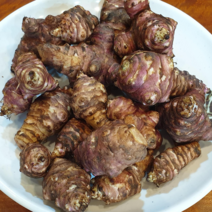생돼지감자 특품 자색돼지감자 뚱딴지 5kg 10kg 볶은 돼지감자 차 1kg, 자색생돼지감자 5kg, 1개