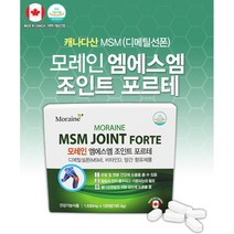 캐나다 모레인 엠에스엠 조인트 포르테 MSM 120정(2개월분) 연골 무릎 관절 영양제 식이유황 초록입홍합, 2개월(1박스)
