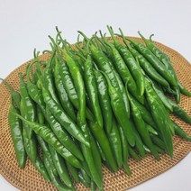 청양고추 10kg 국내산 햇 매운 생 고추 판매 진맛깔, 1개