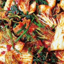 아삭아삭 입맛 살려주는 해남 봄동 겉절이 김치 3kg, 해남 봄동 겉절이김치 3kg, 1개