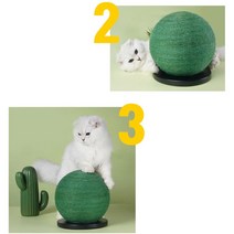 고양이 선인장 캣모나이트 스크래쳐 장난감 발톱관리