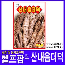 헬프팜 산내음더덕 3g 더덕 종자 씨앗 동원농산종묘