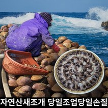 미라클다인 여수 남해 국내산 제철 손질 새조개 1kg 실중량 500g 산지직송, 500그램, 1개