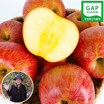 (백프로 품질보증제) 밀양얼음골 사과 부사 초생재배, 3kg 15과 내외