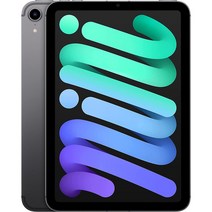 아이패드미니6셀룰러 (오픈) 미국내수용 (8.3인치 256GB) 그레이