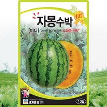 자몽수박 씨앗 수박 씨 종자 10립, 단품