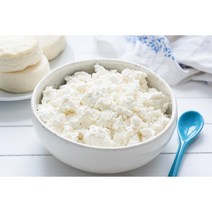 이로운 티벳버섯 종균 10cc (케피어 그레인 유산균 프로바이오틱스 수제요거트), 티벳 버섯 10cc