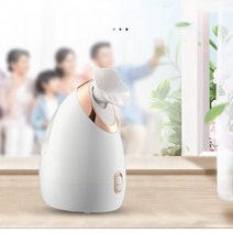 퀸즈미 페이스 스티머 얼굴스팀기 안면스팀 이온 톤업 보습 페이셜 사우나 미백, 화이트, QMZLY-02