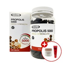 마더네스트 호주 프로폴리스 5000 250캡슐X4개 목 에좋은영양제 포로폴리스 항산화건강 솔루션, 단품, 단품