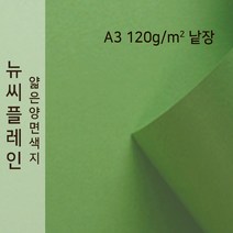 뉴씨플레인 종이문화 얇은 양면색지 120g A3 낱장 1매 No.35 연두색, 1장