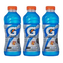 롯데칠성음료 게토레이 블루볼트 600ml 30개 페트병