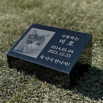 그레이스톤 강아지 고양이 사진 비석 200mm, 네이버톡톡으로 전달할게요, 디자인변경