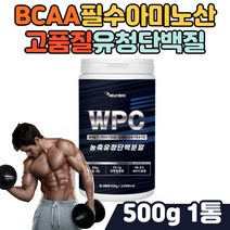 운동전 프로틴 바디 밸런스 농축 유청단백질 현대인 직장인 중년 남성 여성 남녀노소 단백질보충제 아미노산 류신 운동전 운동후 프로틴 물에타먹는 가루 분말 헬스보조제