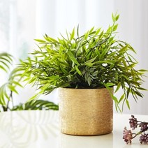 [모던하우스] 골드플래팅 화분 10X9, 단품