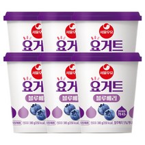 서울우유 요하임 블루베리 380g 6개