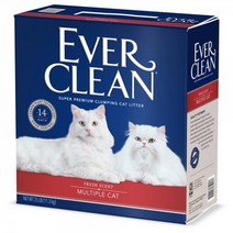 킹펫 에버크린 MC 11.3kg x 2개 11203634