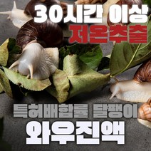 달팽이즙 와우진액 오리지널 힘찬마루 달팽이진액 특허등록 엑기스, 4800ml, 1박스