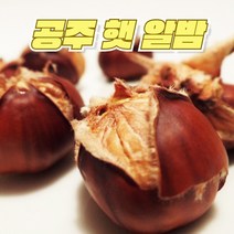 이른아침애 공주 햇 알밤 공주밤 공주알밤 공주맛밤 옥광밤 대보밤 왕밤 생밤 맛밤, 옥광밤2kg(대)