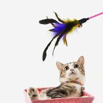 1300K 카샤카샤 고양이 낚시대 4종 택1, 종류:잠자리