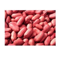 자색땅콩씨앗 20g 30g 50립