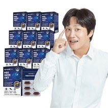 내츄럴플러스 차태현 루테인 지아잔틴 오메가3 30캡슐 / 빌베리 비타민B 비타민E 아연 눈건강, 10박스